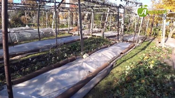 ��� ������ �������� �� ����: ������ �������� �����������