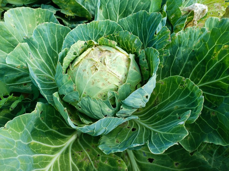 ��� ��������� ������������� ������� � ���� ��� ������� �������