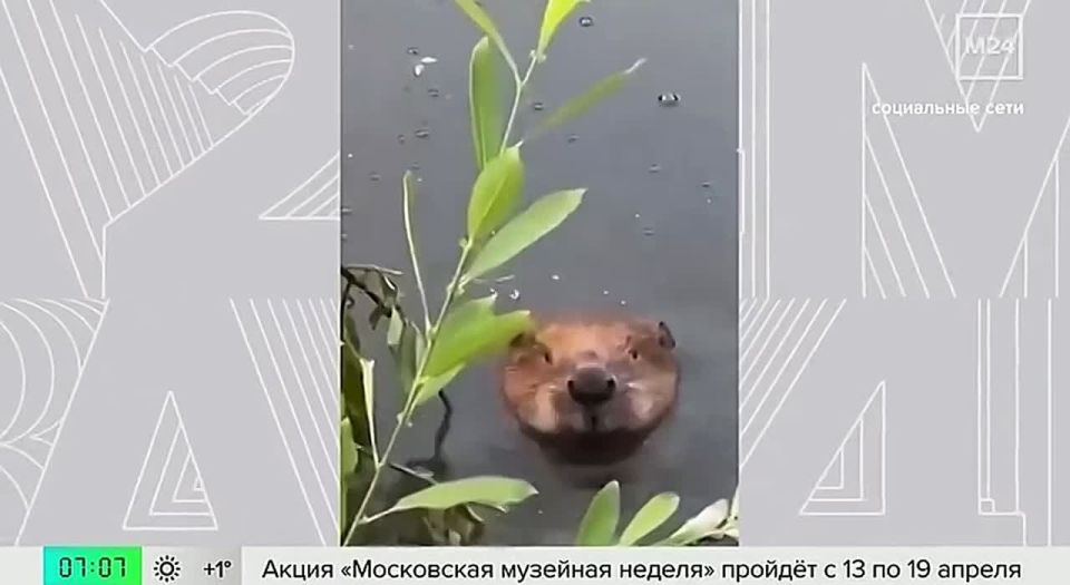 �������� �� ���� ��������� �� ��������� ������ ������