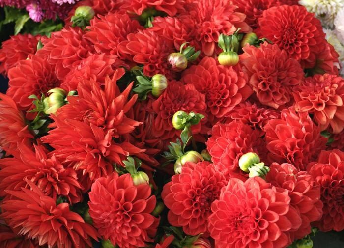 ������� �������� ���������: ��� ������� ������ �������� � ����