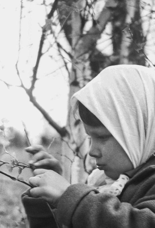 ��������: ������� � �������������� �������� ��������