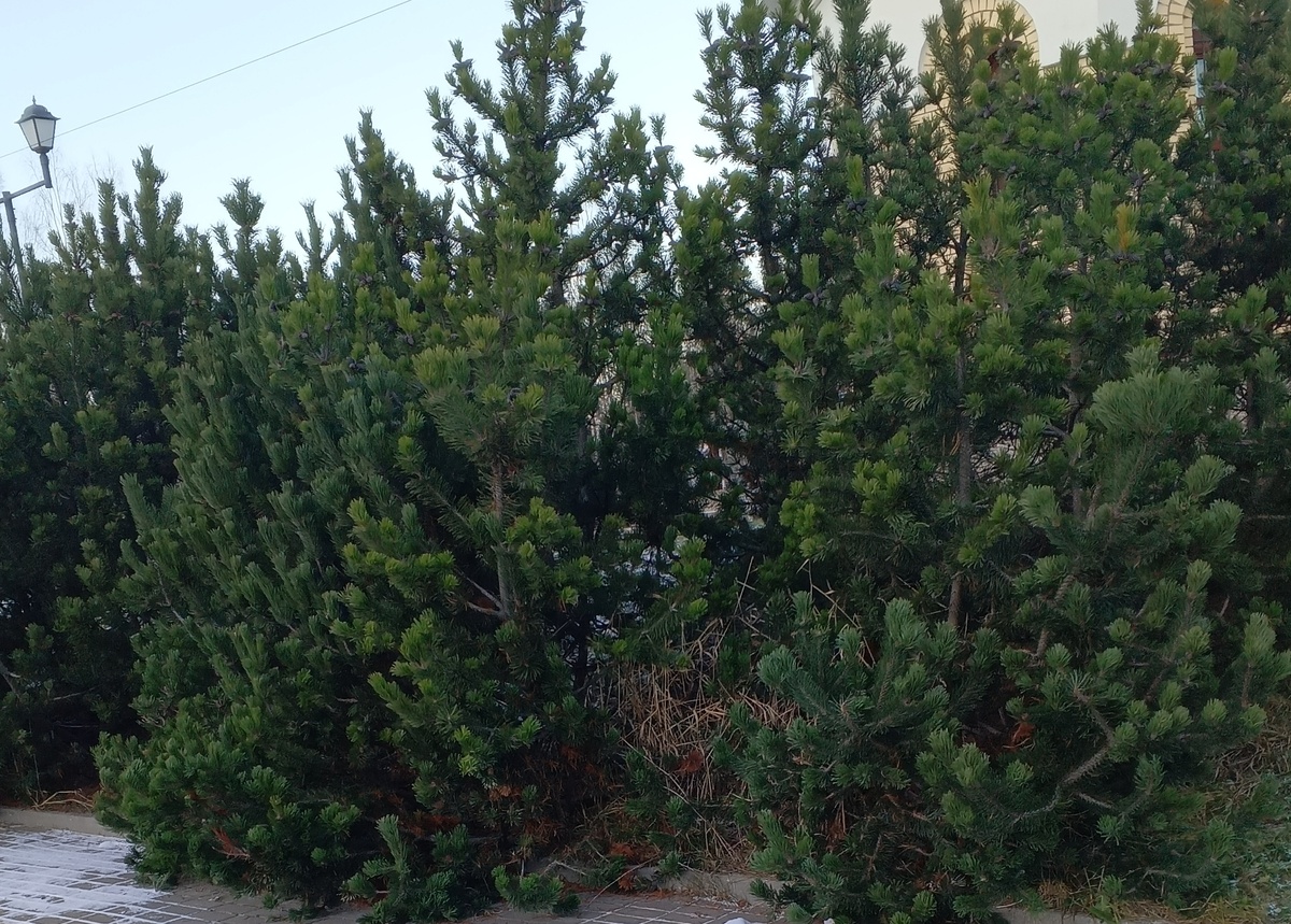 66 лет: новое счастье и радость, которые нельзя не ощутить