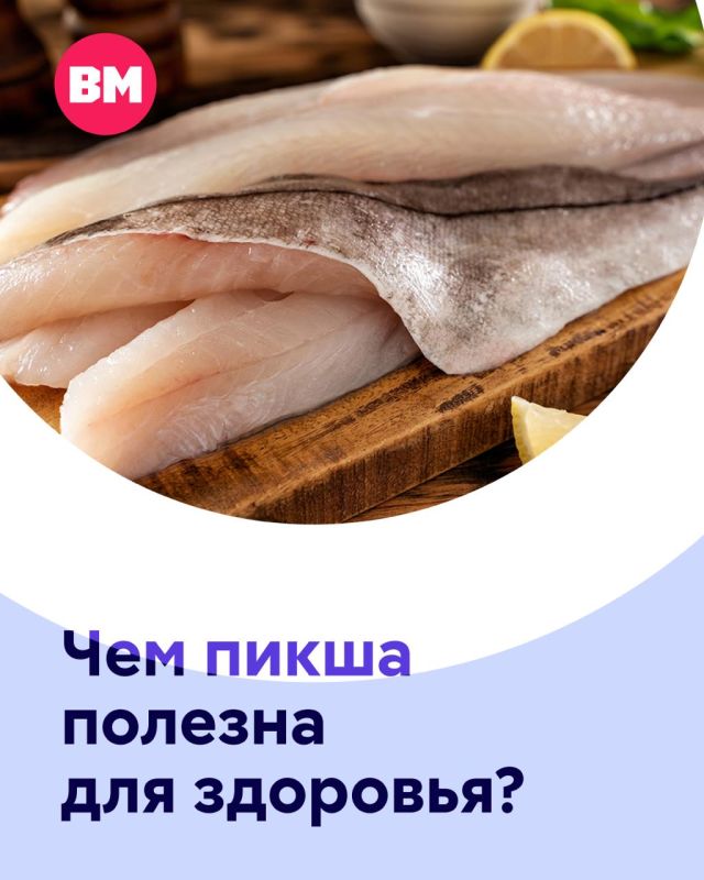 ����� ��������: ����� ������������ ������ �����, ������ ���� �������������� ���������