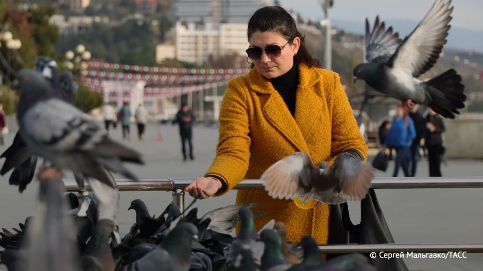 ��������� ������� ������ ������� �� 5 ���