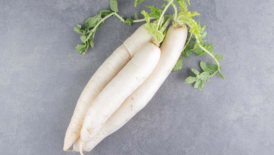 ������: ����, ������� ����� �������� � ������