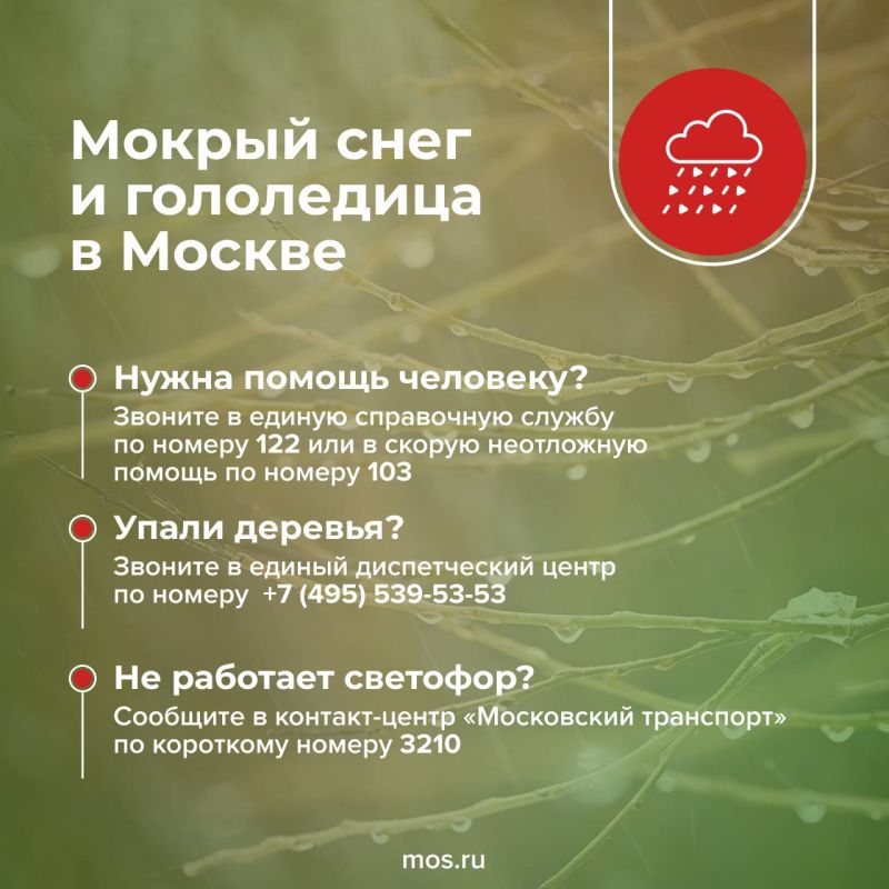 ������� 7 ������ � ������� ��������� ������ ����, ���������� � ��������� ����� �� ��������