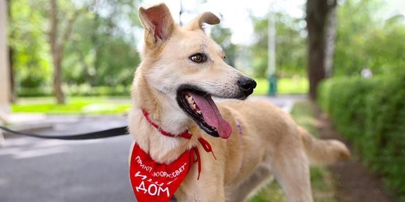 �� ���� 19 ������ ������ ������ ������ ������ �������������� �������