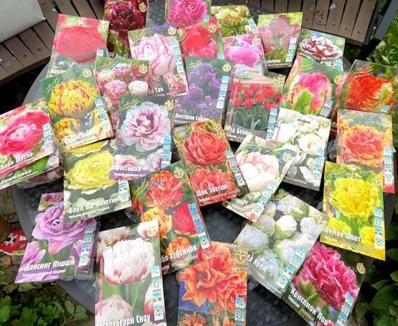 ������� ��������� ���: ������ �� ������� ���������