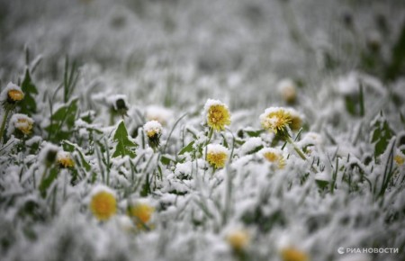 Снегопады придут в Москву в четверг