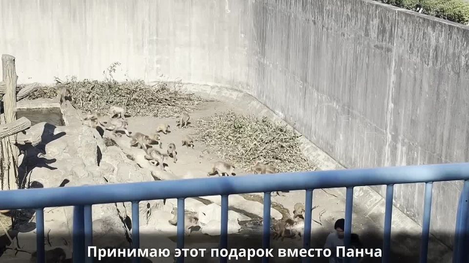 ������, �� �� ����!�: ���������� ������� ������� ������ ������� � ������ ��� ������ �����