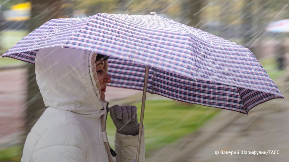 �� 10 �� ������� ����� ������� � ������ � ��������� ���� ����� � ���� ����� � �����