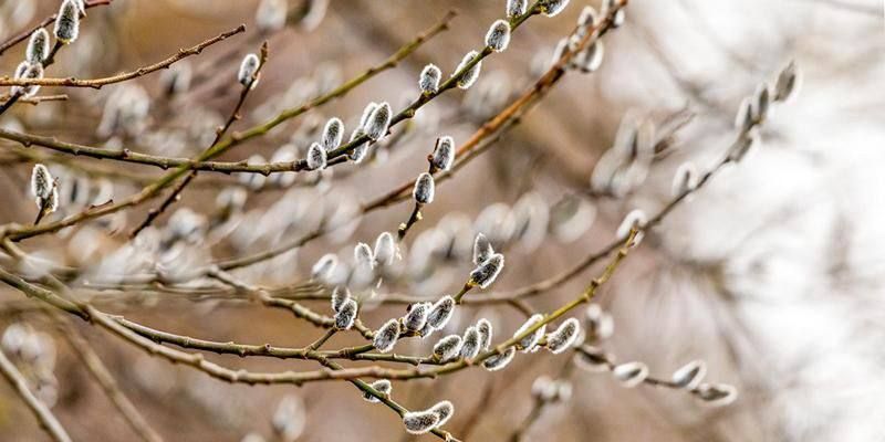 ��������� ���� ���������� � ��������� ������