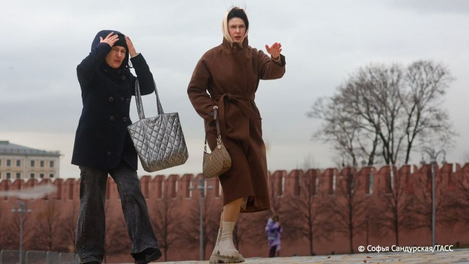 ����� �� 11 �/� � ���������� ������������ � ���������� ������� �� �������