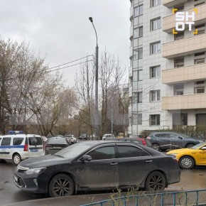 ���������, ��������� ��� ������ �����������, ��������� ������