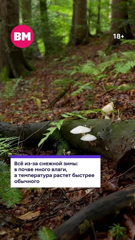 ����� 2026 ���� ������� ����� ��������� ���������� ��� ��������� � ���������� ������� � ������ ������� ��� ���������� � �����!