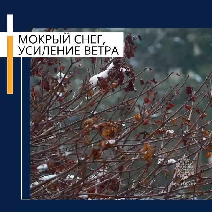 ��������� �������� � ����� �������