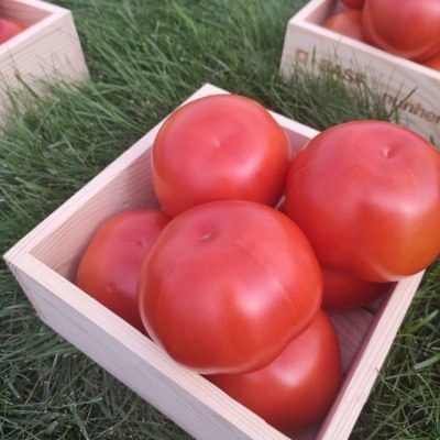 ����� �������: ���������� ������ � ������� ��������� � �������� ������