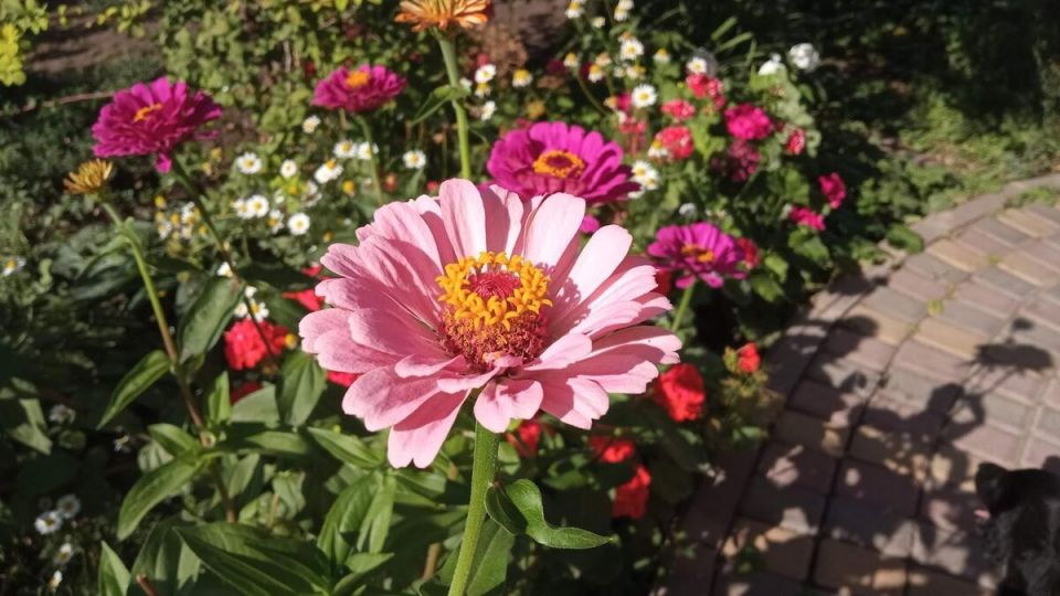 ��� ������� ����� �������� �������� �����: ������� ���������� ���������