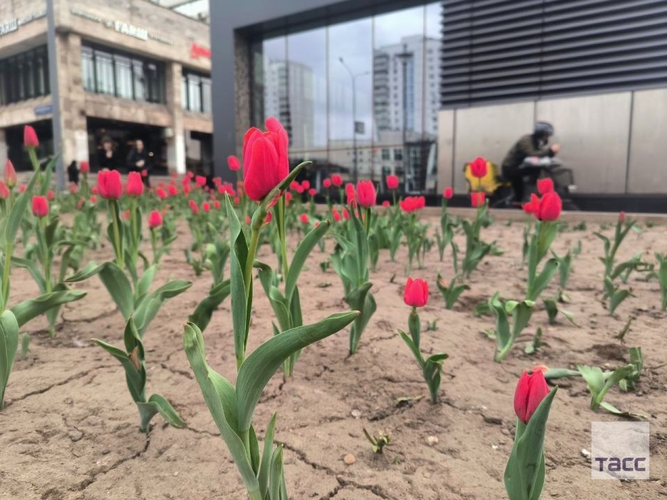 ������ �������� ������������ �� ��������� �������