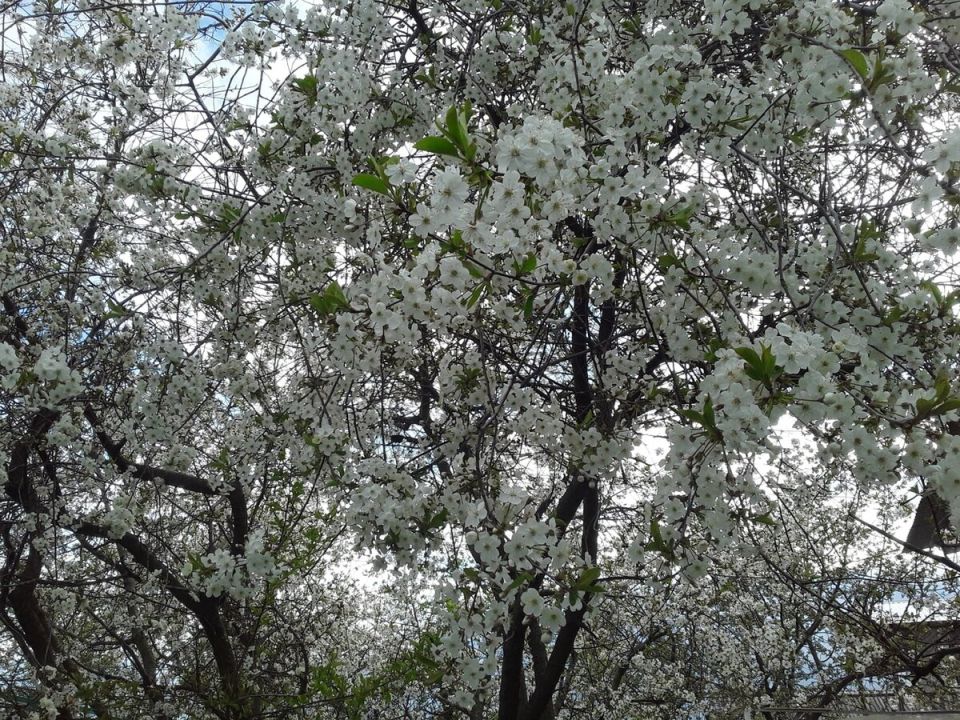 ��� ������� ������������ ��������� ������� � ����� ����