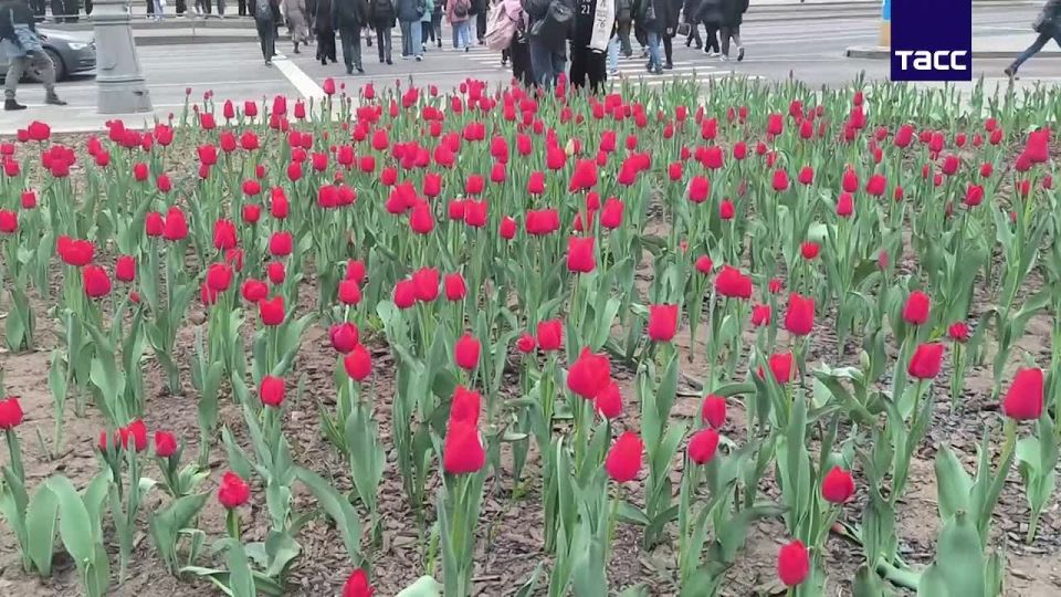 ������ �������� ������������ �� ��������� �������