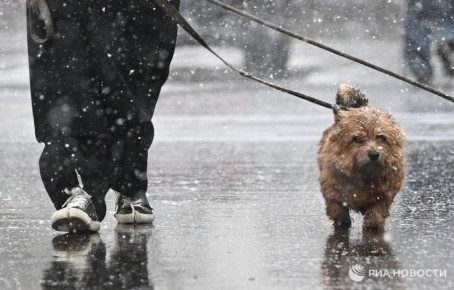 Снежный покров формируется в Москве