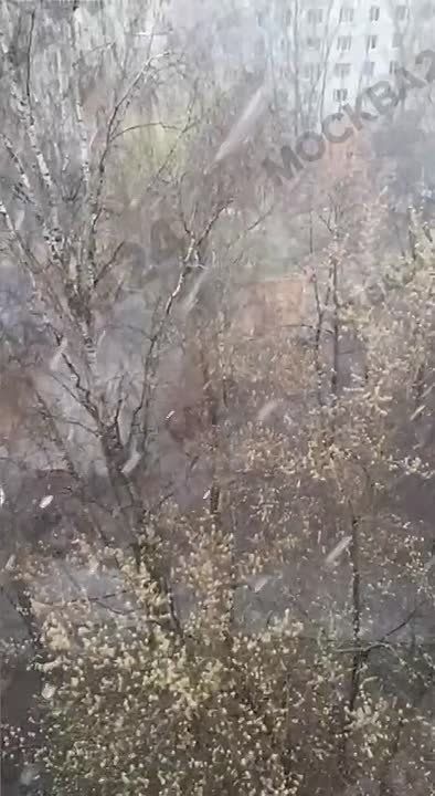 ������ ������ ������� ����� ������