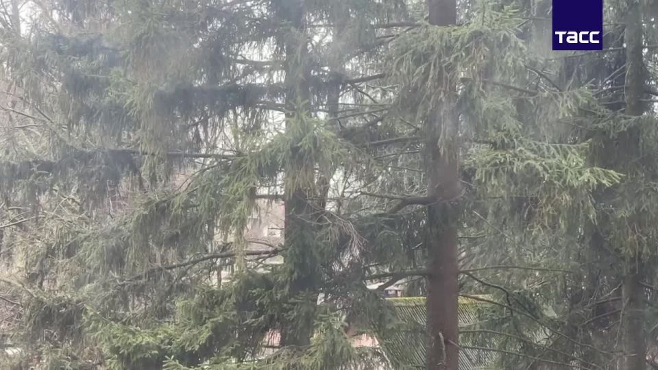 � ������ ���� ������ ����