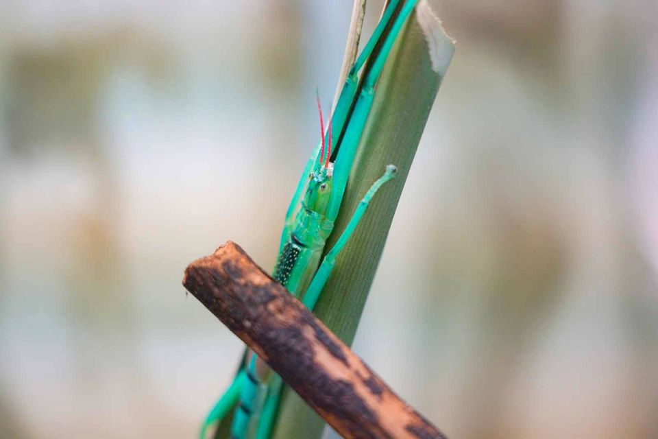 � ���������� �������� ������� ���������� ������ ������ ��������� �� ���������