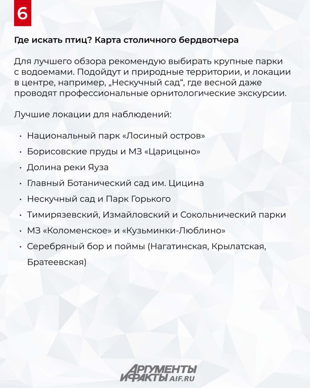 Охота с бинокуляром. Какие птицы живут в Москве Охота с бинокуляром. Какие птицы живут в Москве