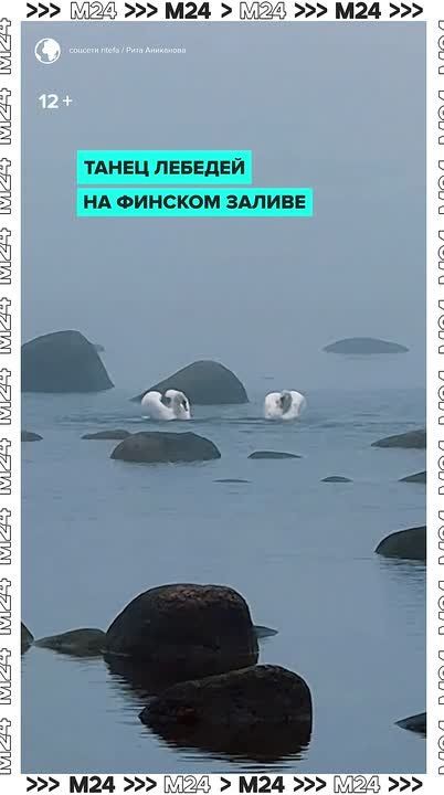 ����� ������� ����� �������� �� ������� ������