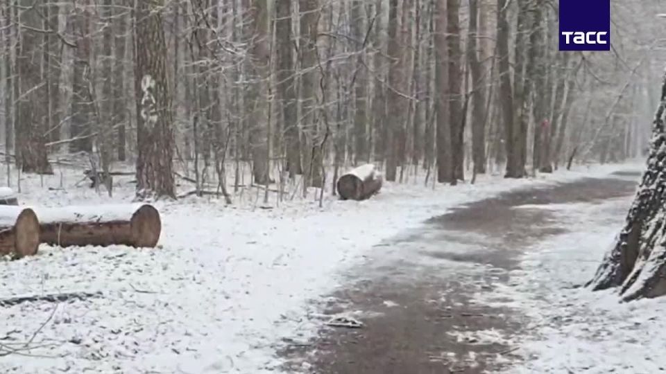 ���������� ������ ������� ������ � �����������