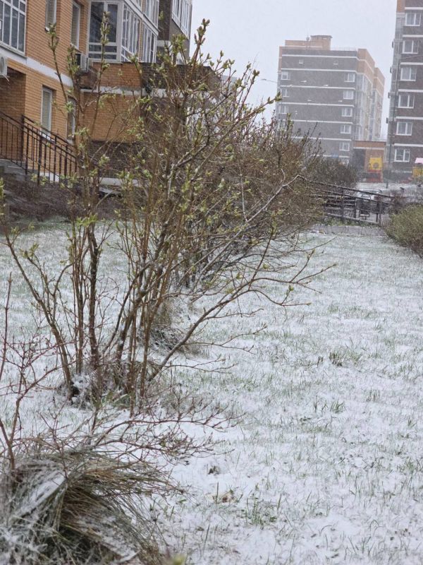 ������ �����������, � ����������� ��������� � 0. �� ��������� ������ ��� -5