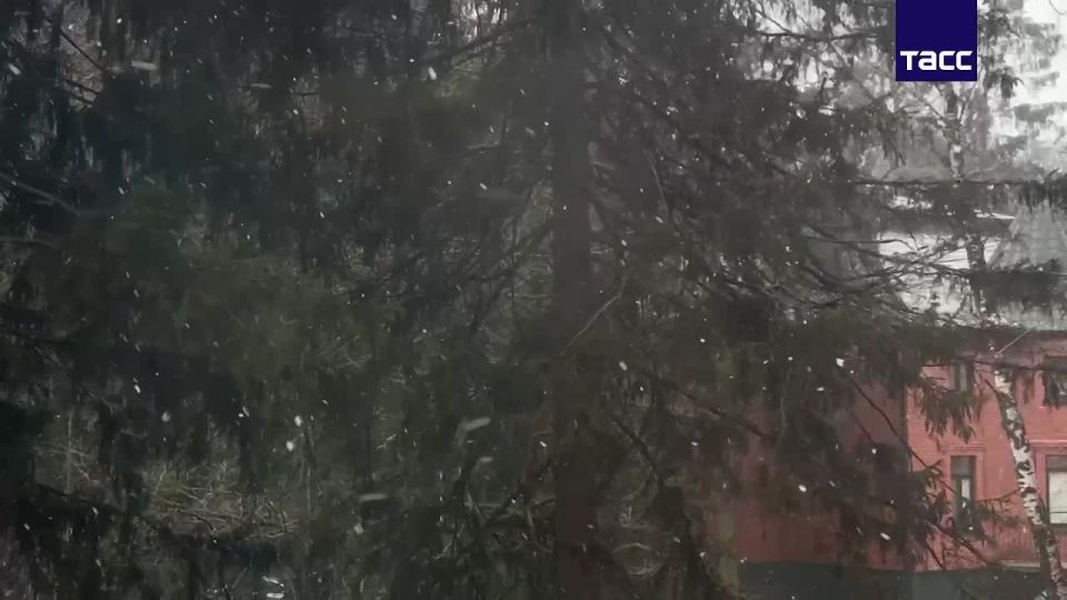 ���� � ��������� �� -2 �������� ��������� � ���������� ������� ����������� �����, �������� ���� � �������������� ��