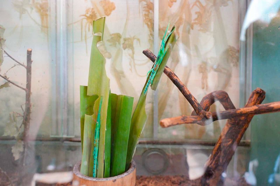 � ���������� �������� ������� ���������� ������ ������ ��������� �� ���������