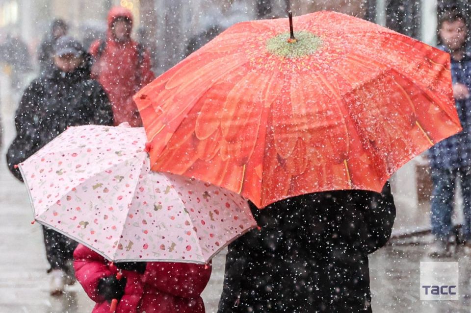 ������ ������� �������� ��������� �������� � ������ � ����������� ��-�� ���������, �������� ���� � ��������������