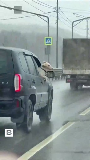 ������ ������ ��������, �� ��������� �� ������ 10 ������, �������� ���