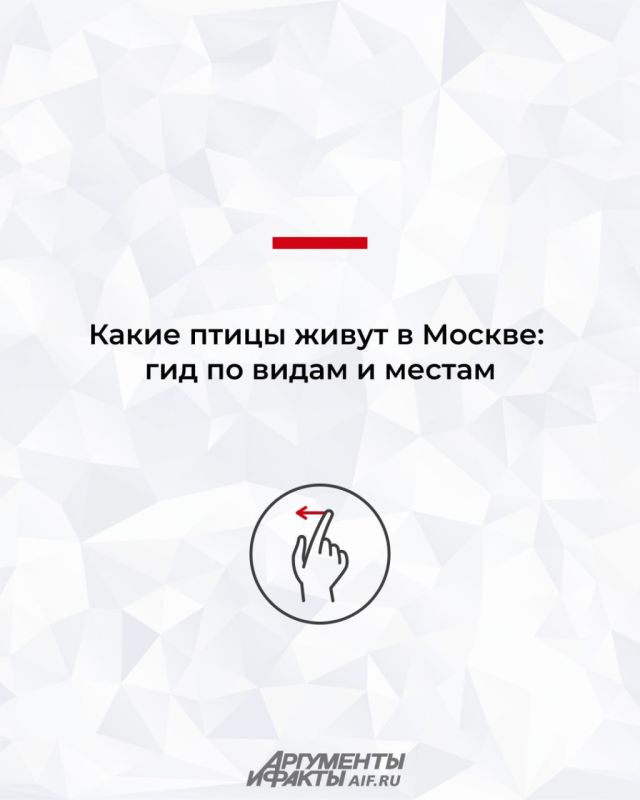 ����� � �����������. ����� ����� ����� � ������