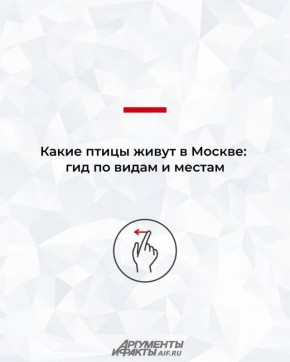 ����� � �����������. ����� ����� ����� � ������