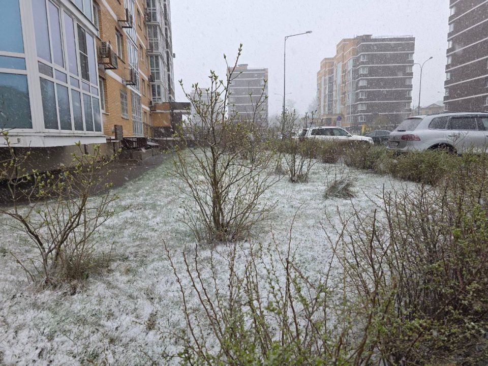 ������ �����������, � ����������� ��������� � 0. �� ��������� ������ ��� -5