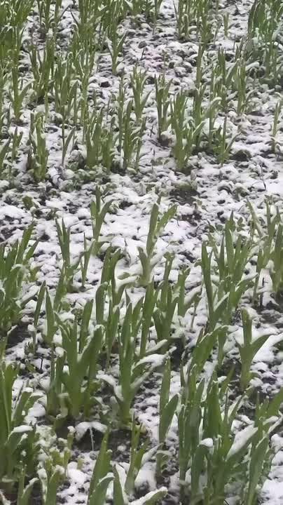 ������ ����� ������ ������� �� ����� ��������: ������ ������ ������ ����������� � ������ �������� �� ���� ��������� ����� � � ��� ��� ����� �����, ��� ������ ������ ������� � ���� ���� ����