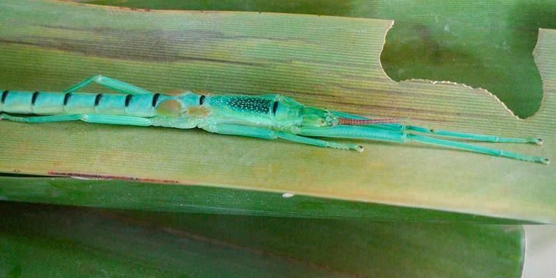 � ���������� �������� ������� ���������� ������ ������ ��������� �� ���������