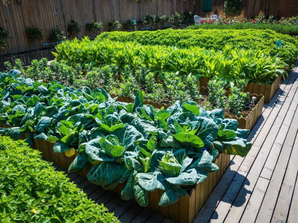 ������ ������� ����� � ��� ������ ���� �� �������