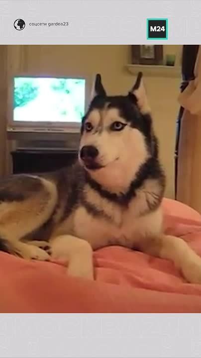 � ������ ����������� �������, ������� ������ ���������� ���� ����� �� ������������