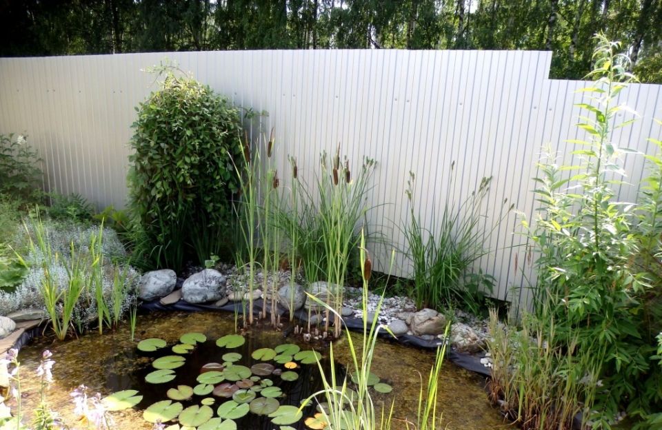 ������ ���� �� ��������: ������� ���� � �������� � ����� ����