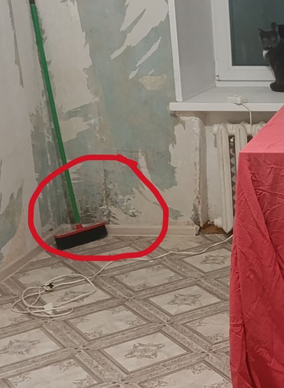 ��� ���������� � �������� � �������: ������������ �����������