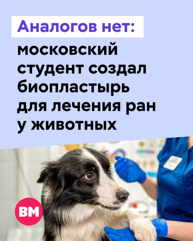 ���� � ������� ���������� ����, ��� ������ ���� �� ��������� ��������: ���������, ������� � ��� ������� �� ������� ������ ��� ������.� ����� � ������ �������, ����������� ���������� � ������ �������