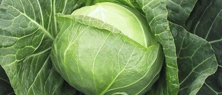 ������� ��������� ����������� �������: ��� �������� ������� � ������ �������