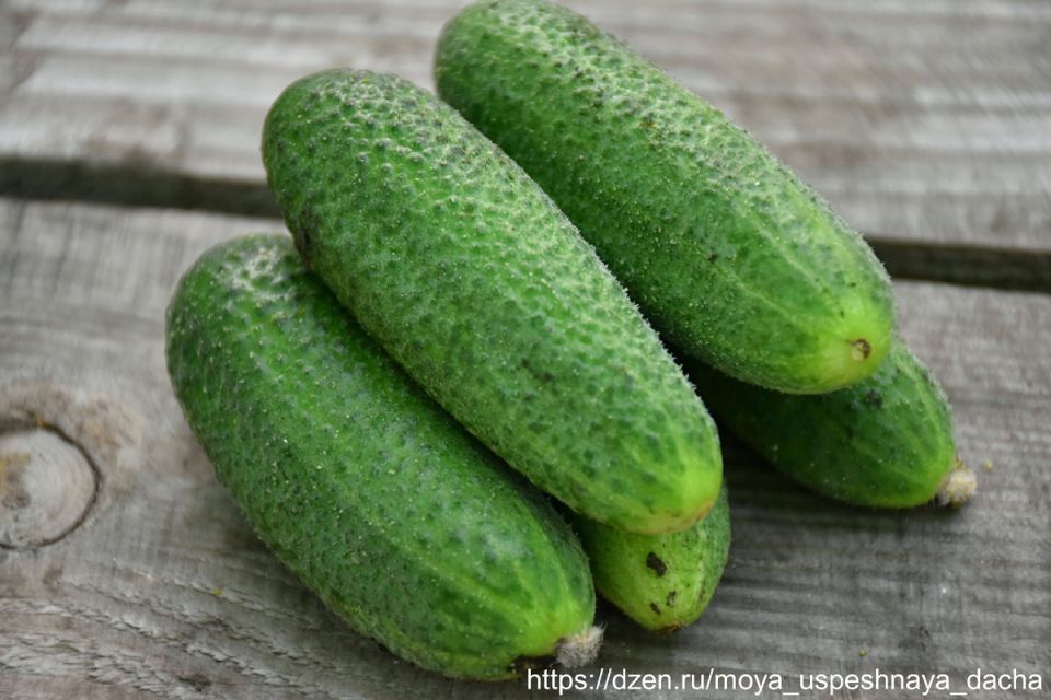 ������ ������ F1: ����� ������� ����������� � 2025 ����