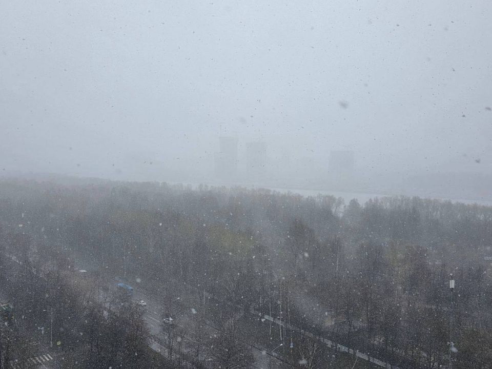 ���������: �������� � ������ ��������� �� ������ �������, ������������� ���